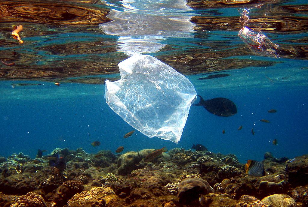 Zagotovo je že vsak med plavanjem v morju opazil kakšno plastično vrečko. Foto: EPA