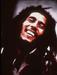 Bob Marley bi praznoval 70. rojstni dan