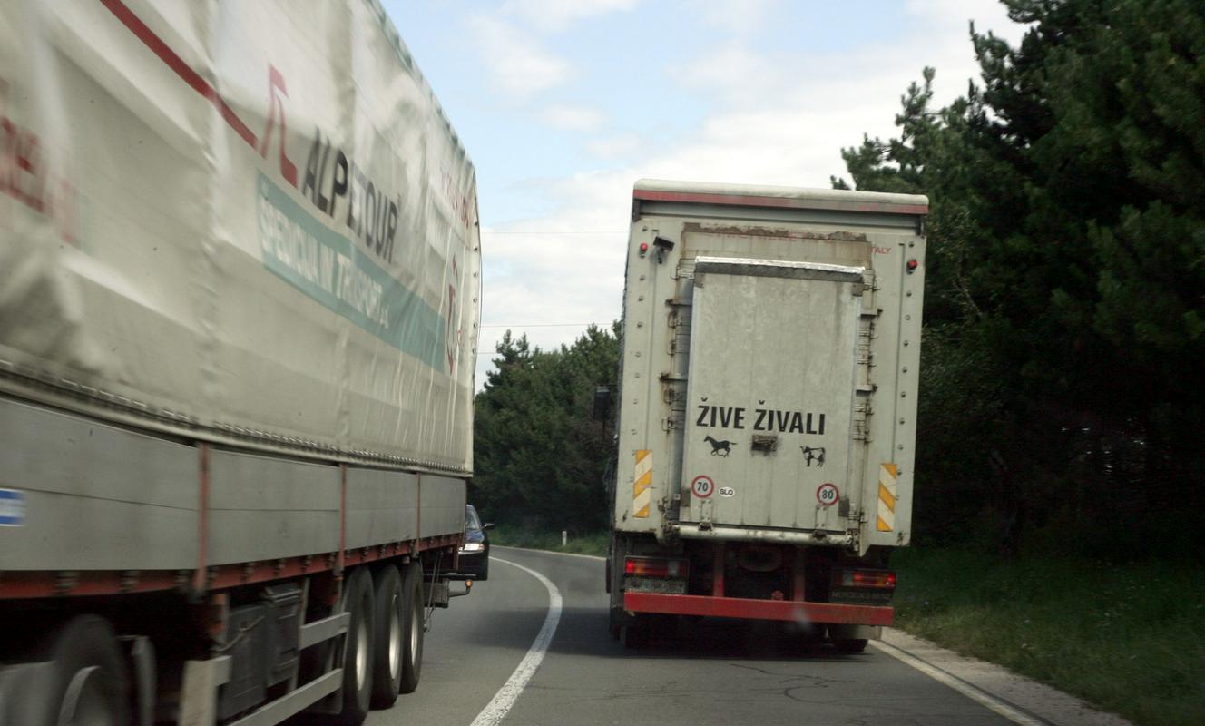 V Sloveniji se cestnina tovornih vozil z največjo dovoljeno maso nad 3,5 tone trenutno zaračunava za vsak cestninski odsek, ki ga vozila prevozijo, njena višina pa je odvisna od dolžine posameznega odseka in značilnosti vozila, kot sta število osi in emisijski razred. Foto: BoBo