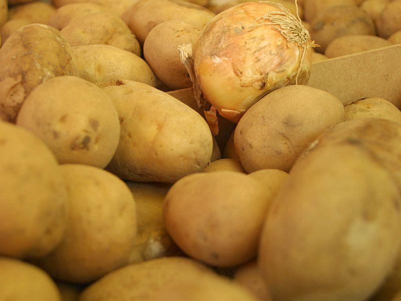 Krompir in fižol se dobro ujameta, le da krompir potrebuje več gnojenja Foto: BoBo
