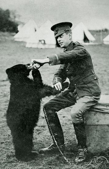 Črni medved, maskota kanadskih vojakov med 1. svetovno vojno