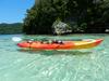 Palau: država, v kateri so še meduze prijazne