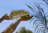 Canska zlata palma bo zasijala zvečer, hrvaški Zenit že nagrajen