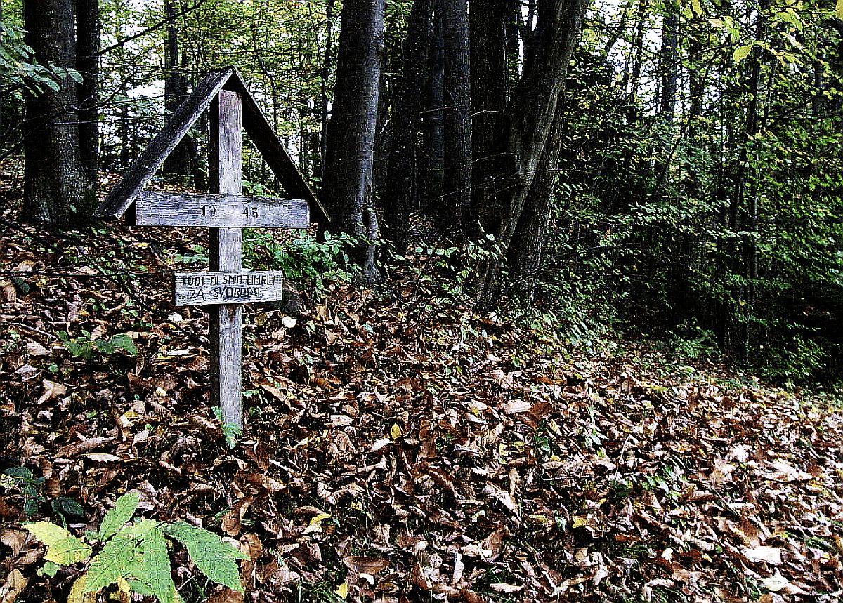 Najverjetnejša vladna koalicija s predlogom za pokop žrtev povojnih pobojev na Žalah