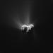 Pristanek na kometu, drugič: tudi Rosetta bo šla dol