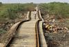 Vodni val v Indiji zadel dva vlaka, umrlo več kot 20 ljudi