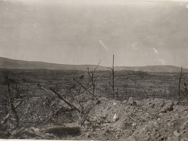 Razdejano polje pri Vrtojbi, 30.8.1917