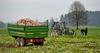 Najstarejši delavci v Sloveniji so kmetovalci in nepremičninarji