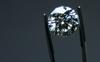 Bilijarda ton diamantov bi se lahko skrivala znotraj Zemlje