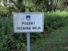 Anketa: Slovenija naj uvede poostren nadzor meje