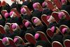 Vatikan: Na oktobrski škofovski sinodi bodo lahko glasovali tudi ženske in laiki