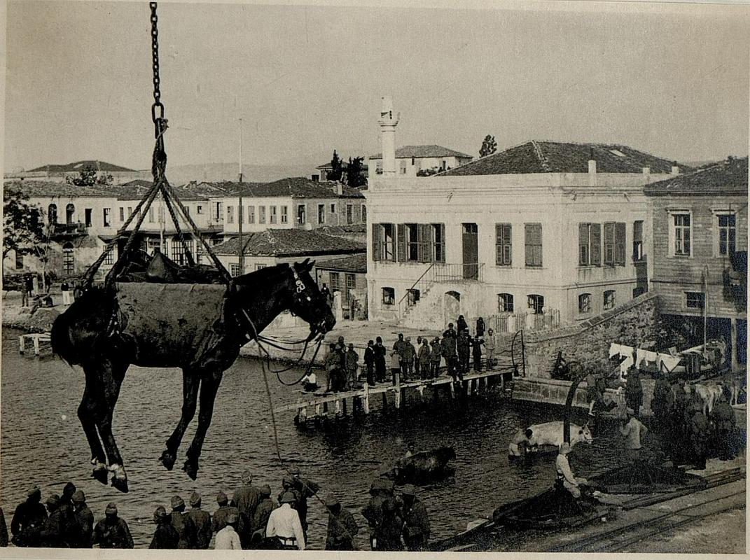 Prevoz konjev v Carigradu. Foto: Österreichische Nationalbibliothek (www.europeana1914-1918.eu)