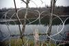 Hrvaška na meji s Srbijo žičnato ograjo že pospravila