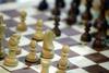 Šah in podobne igre za možgane človeka ne naredijo pametnejšega