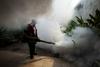 ZDA in Brazilija v skupni boj proti virusu Zika