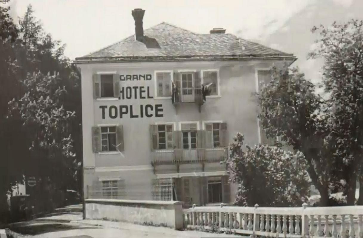 Hotel Toplice