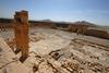 Za obnovo antične Palmire bo potrebna politična odločitev