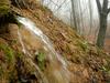 Slovenija z vodo bogata, a ni nujno, da bo taka ostala