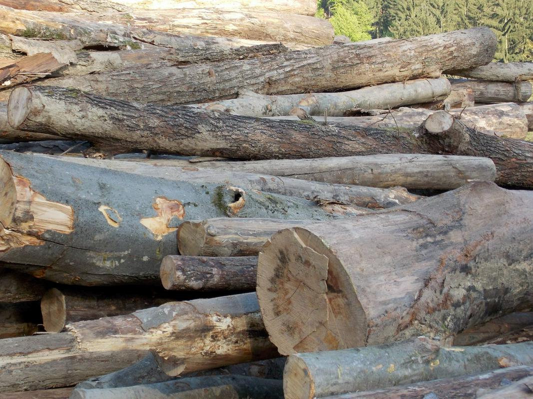 Zaradi pomanjkanja surovin je bil hoverkraft skoraj v celoti izdelan iz lesa.