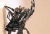 Slovenski znanstveniki odkrili oralni spolni stik pri pajkih