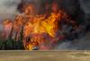 Foto: Gozdni požar v Kanadi se širi na sosednjo provinco