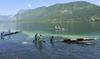 Plačljivo veslanje po Bohinjskem jezeru veslače spet dvignilo na noge