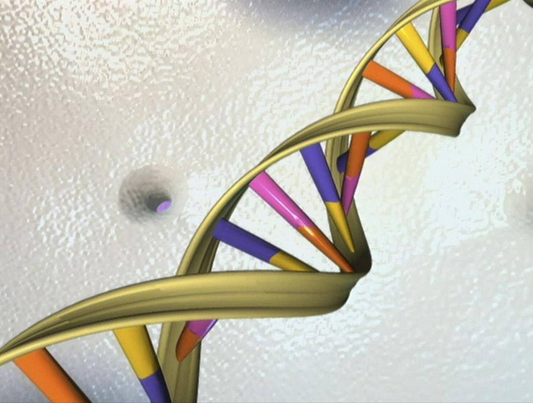 DNK. Podoba je simbolična.  Foto: Reuters