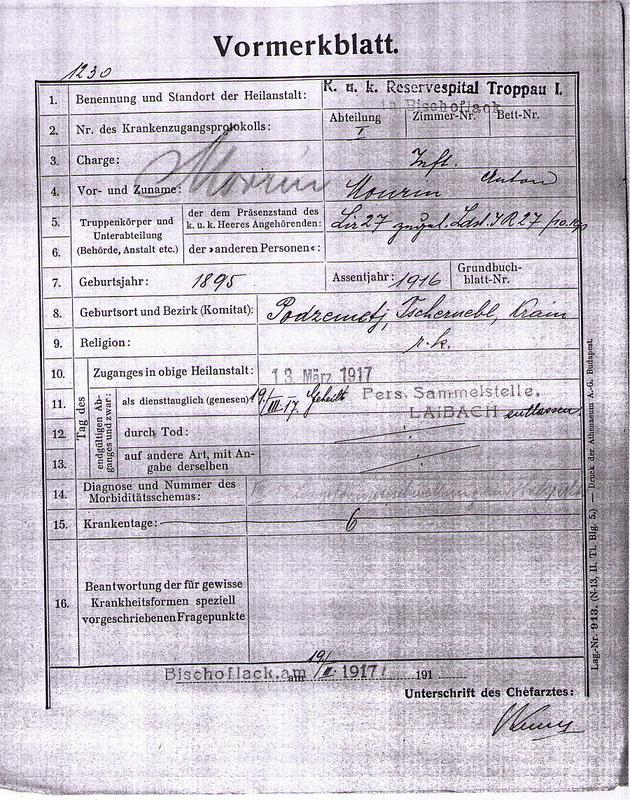 Dokument z zdravstvenimi podatki avstro-ogrskega vojaka Antona Movrina, ki ga hranijo v Vojnem arhivu Avstrijskega državnega arhiva. Foto: Osebni arhiv Damijana Movrina