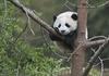 Kitajska odpira prve naravne parke