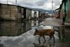 Orkan Matthew pustošil po Karibih, na Haitiju več kot sto mrtvih