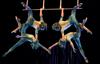 Cirque du Soleil obisk Ljubljane tik pred zdajci prestavil na junij