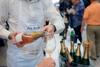 Foto: Hram kulture zasedli bordojci, šampanjci in burgundci