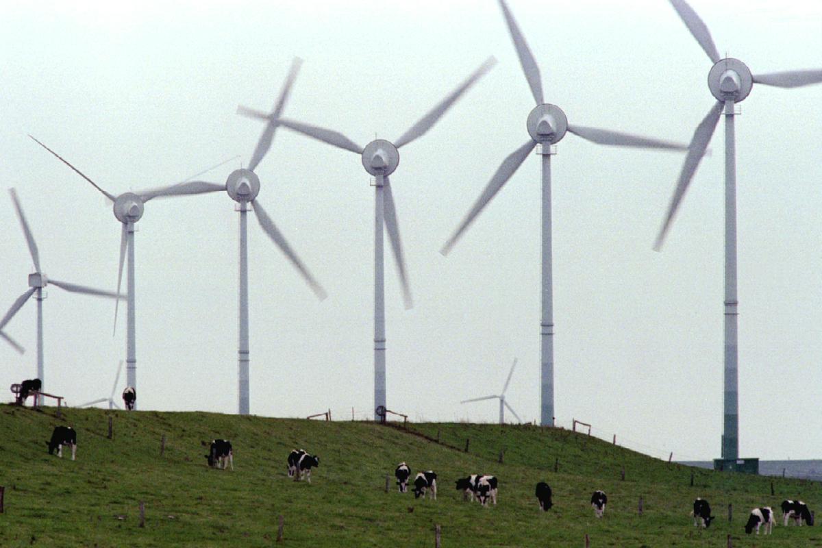 Vetrne elektrarne so načrtovane na Senožeških brdih, Zajčici, v Dolenji vasi, Mislinji, na Paškem Kozjaku, Ojstrici, v Rogatcu in Plešivcu. Foto: Reuters