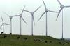 Postavitev vetrne elektrarne na Rogli naj bi zelo negativno vplivala na naravo