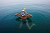 Foto: Prvič v zgodovini plavali čez počasi izginjajoče Mrtvo morje