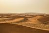 Saharski pesek s seboj nosi tudi nevarne in odporne mikrobe