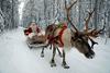 Dedek Mraz daril ni začel prinašati na ekoloških prevoznih sredstvih