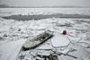 Sneg ovira promet na Balkanu, v ledeni Donavi ujeti dve ladji