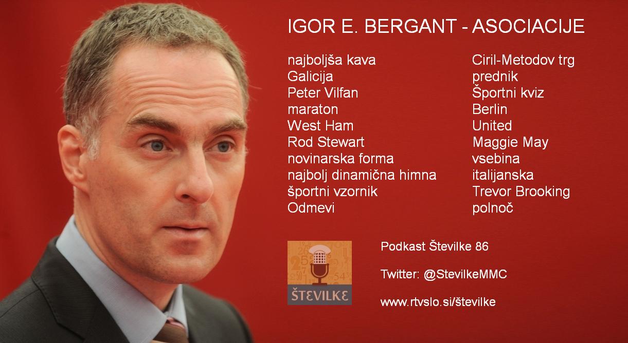 Igor E. Bergant