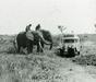 Kako je bila leta 1931 videti Afrika skozi fotografski objektiv?