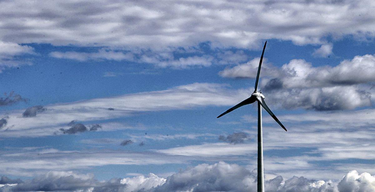 Новое правительство и депутаты должны прислушаться к людям и начать поддерживать развитие возобновляемых источников энергии, подчеркивает Андрей Гнезда из Уманотера.  Фото: БоБо