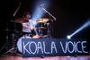 Koala Voice, novi pionirji slovenskega rocka?