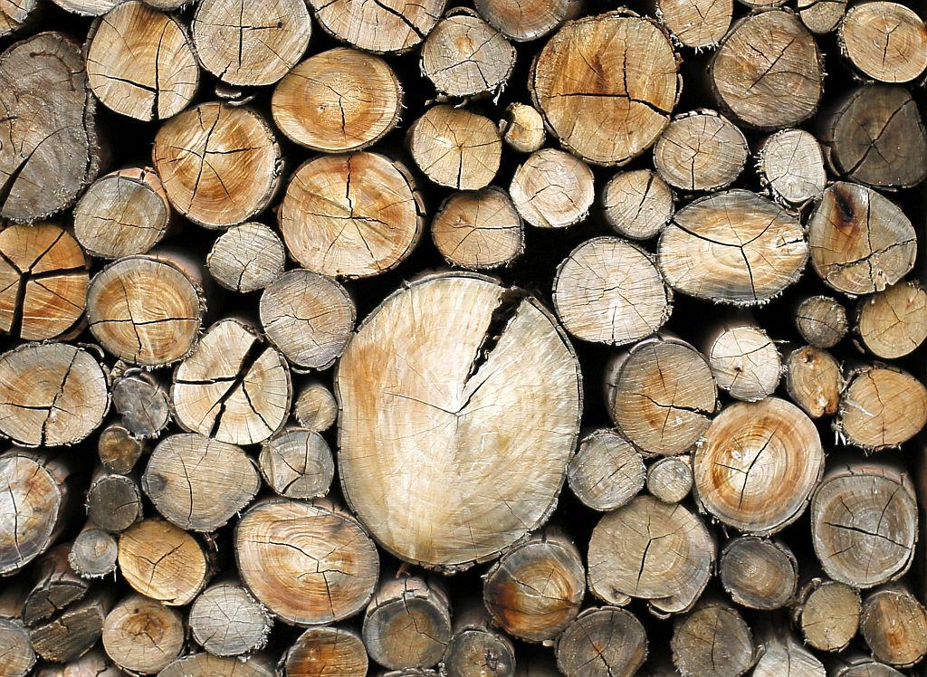 Vso razpoložljivo količino hlodovine, razen najkakovostnejših listavcev, primerne za razrez, to je okoli 310.000 kubičnih metrov, so zagotovili domačim kupcem. Prav tako tudi okoli 200.000 kubičnih metrov lesa nižje kakovosti. 