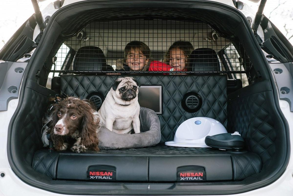 Nissan je predstavil koncept za varen in udoben prevoz psov. Foto: Nissan Foto: 
