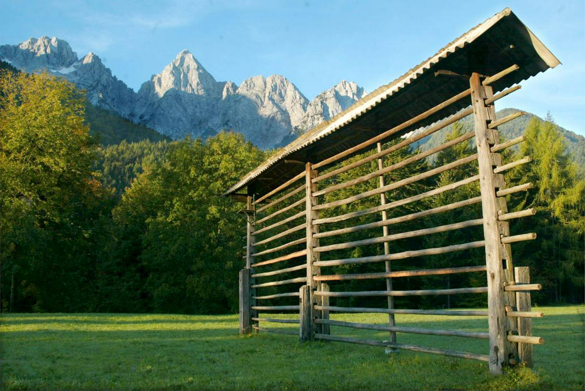 Kozolci bogatijo krajino od izvira Drave do Kolpe in Sotle, v Italiji, Avstriji, Sloveniji in Švici. Slovenija pa je s kozolci najbogatejša, v njej stoji še vsaj 6.000 kozolcev, a jih je vse manj. Foto: BoBo