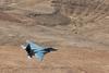 Izrael izvedel nove zračne napade na Sirijo