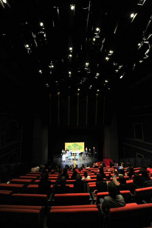 Velika dvorana Lutkovnega gledališča je od letos opremljena z digitalnim projektorjem. Foto: BoBo