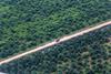 EU bi opustil biogorivo iz palmovega olja