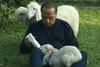 Berlusconi pred pečico rešil pet jagenjčkov; mesarji besni