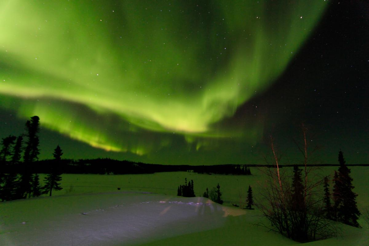 Aurora borealist